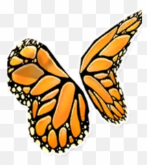 Butterfly Monarch Wings - Girly Png,Monarch Png