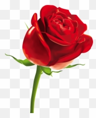 Download Rose Png Picture - Valentines