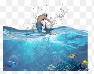 Ftestickers Fantasyart Mermaid - Clipart Wakeboarding png