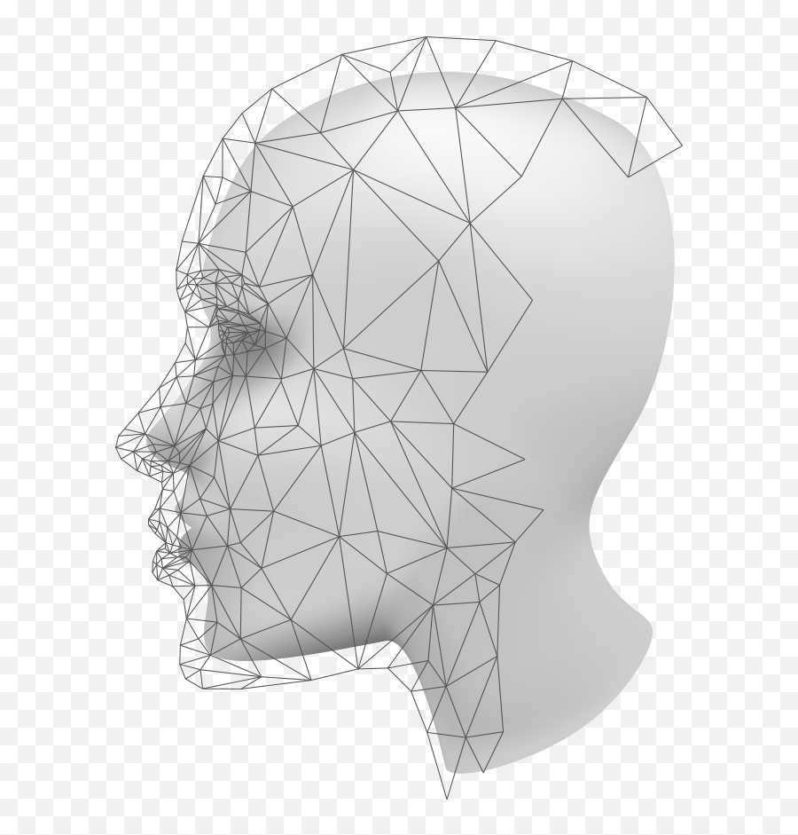 Ensure Diversity For Human Faces - Portable Network Graphics Png,Mesh Png