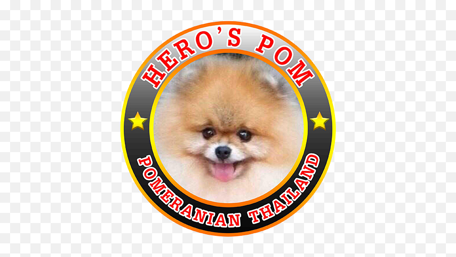 Herou0027s Pom Pomeranian Inspired By Png