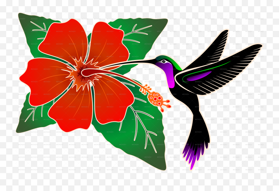 Download Red Hibiscus And Hummingbird - Png Hibiscus With Hummingbird And Hibiscus Clip Art,Hummingbird Png