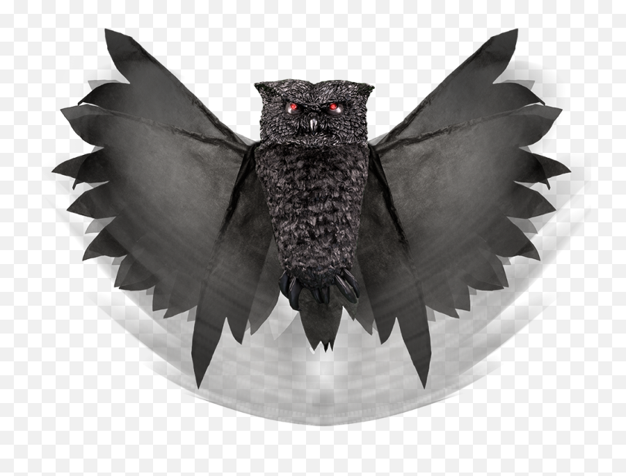 Wings Png - Great Horned Owl,Fang Png