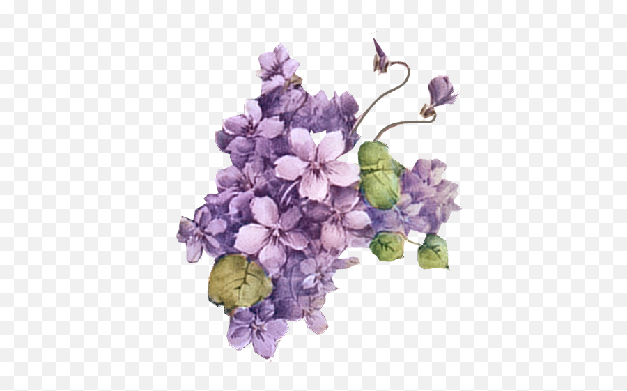Png V73 Backgrounds 3d Purple Flowers Bf - 17 Lavender Flower Vintage Png,Purple Flowers Png