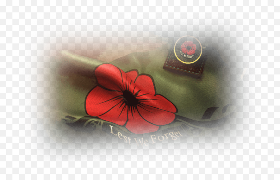 Pictures Of World Warships Announces Charity Campaign To - Poppy Png,World Of Warships Logo Transparent