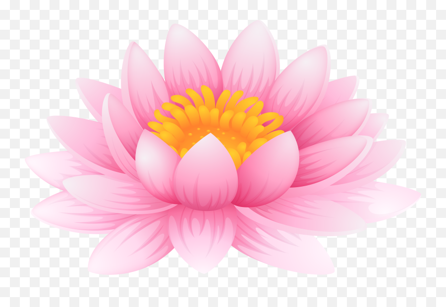 Library Of Water Lily Clipart Free Png Files Pad