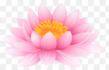 Library Of Water Lily Clipart Free Png Files Pad