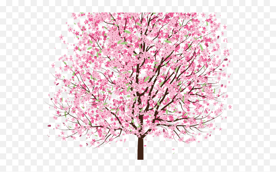 Download Sakura Clipart Tree - Cherry Blossom Tre3 Drawing Sakura Cherry Blossom Tree Clipart Png,Sakura Tree Png