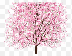 Download Sakura Clipart Tree - Cherry Blossom Tre3 Drawing png