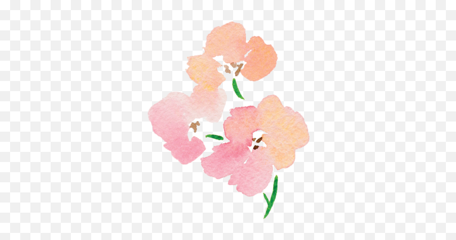 Jenna Rainey - Floral Png,Watercolor Rose Png