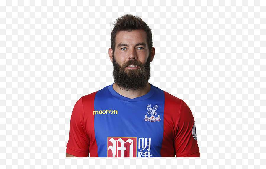 Joe Ledley Profile News U0026 Stats Premier League - Joe Ledley Png,Barclays Premier League Icon