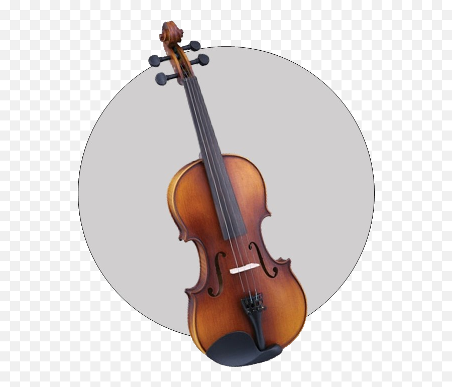 Musical Instrument Stores In Doha Qatar Sound System - Baroque Violin Png,Godin Icon Review