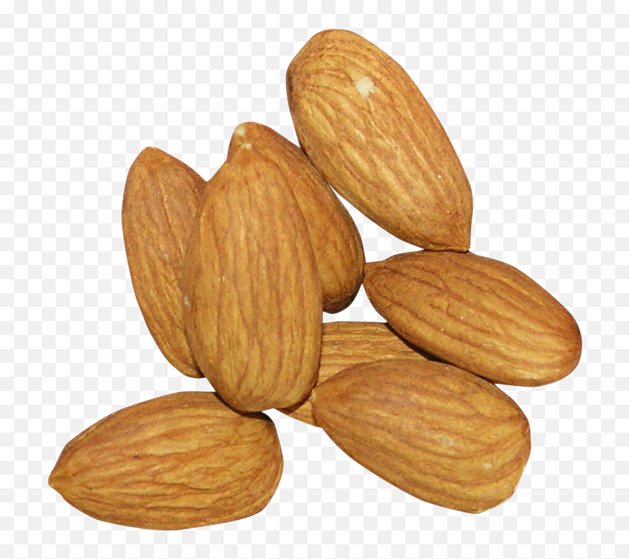 Download Free Nut Almond Png Hq Icon Favicon - Kacha Badam Png,Almonds Icon