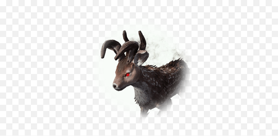 Bookshelf With Knowledge - Bdo Codex Goat Png,Black Desert Online Black Spirit Icon