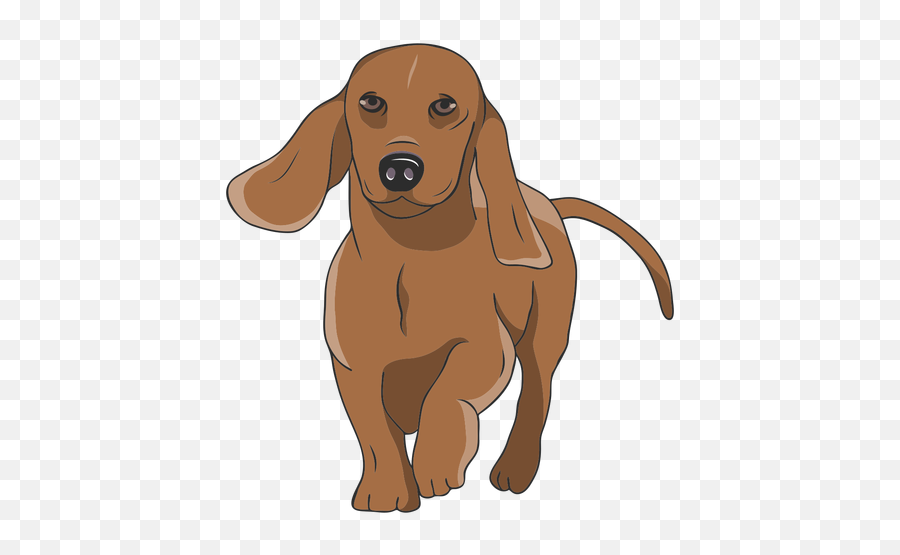 Walking Dachshund Dog Illustration Transparent Png U0026 Svg Vector - Cachorro Desenho Dachshund Png,Dachshund Icon
