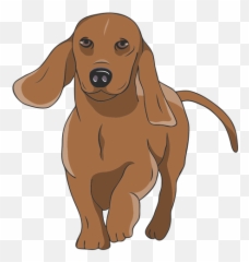 Walking Dachshund Dog Illustration Transparent Png U0026 Svg Vector - Cachorro Desenho Png