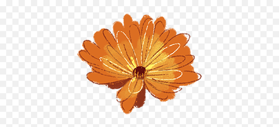 Nourishing Our Creative Fire - Decorative Png,Princess Daisy Icon