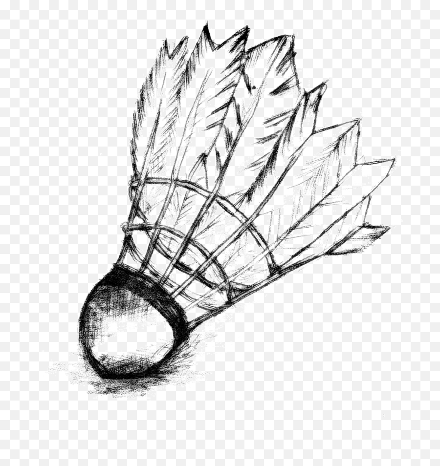 Download Hd Mornington Peninsula Badminton Shuttlecock - Racket And Shuttle Cock Drawing Png,Badminton Png