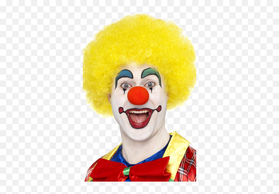 Download Hd Clown Wig Png Wwwimgkidcom The Image Kid Has It - Clown Orange,Clown Hair Png
