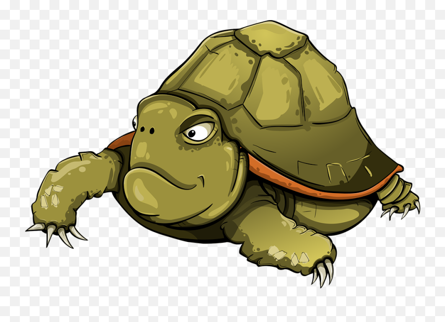 Tortoise Amphibious Tortila - Free Vector Graphic On Pixabay Png Kaplumbaa,Tortoise Png