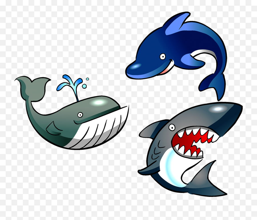 Clipart Shark Organism Transparent - Marine Biology Clip Art Png,Shark Clipart Png