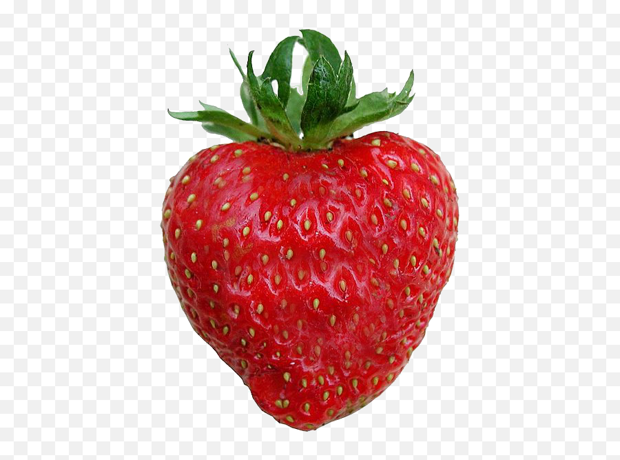 Filestrawberry Transparent Backgroundpng - Wikimedia Commons Love You Berry Much,Transparent Backround