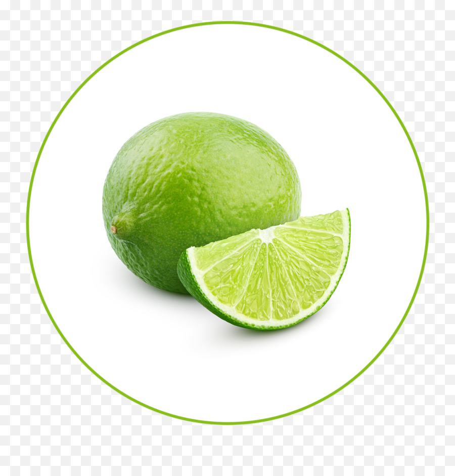 Pole To - Lime Fruit Png,Limes Png