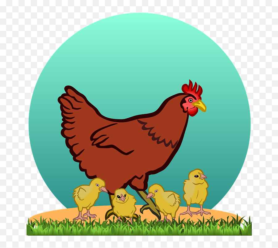Hen With Chicks - Hen Clipart Png,Chickens Png