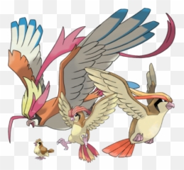 Download Hd Pidgey Pidgeotto Pidgeot - Pokémon Firered And Leafgreen Png,Pidgey Png
