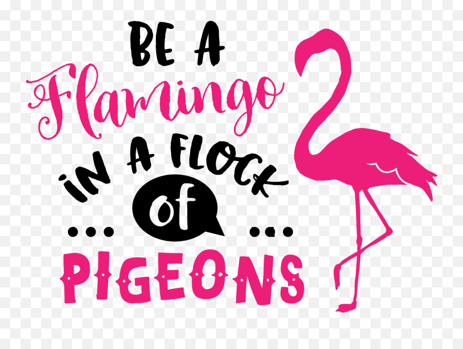 Be A Flamingo Svg - Flamingo In A Flock Of Pigeons Png,Flamingo Png