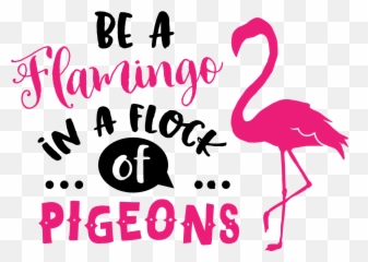 Be A Flamingo Svg - Flamingo In A Flock Of Pigeons Png,Flamingo Png