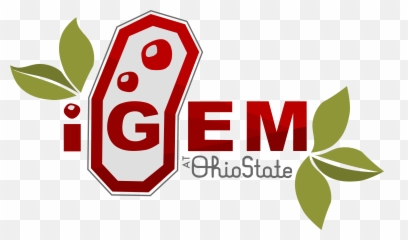 Teamohiostate - 2020igemorg Vertical Png,Miraculous Logo