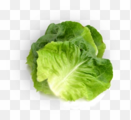 Butter Lettuce - Superfood png