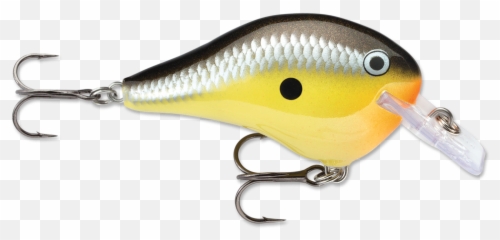 Pin - Rapala Dt Fat 3 png