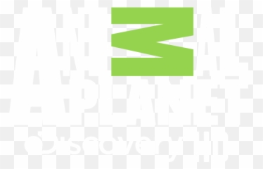 Animal Planet Hd En Blanco - png