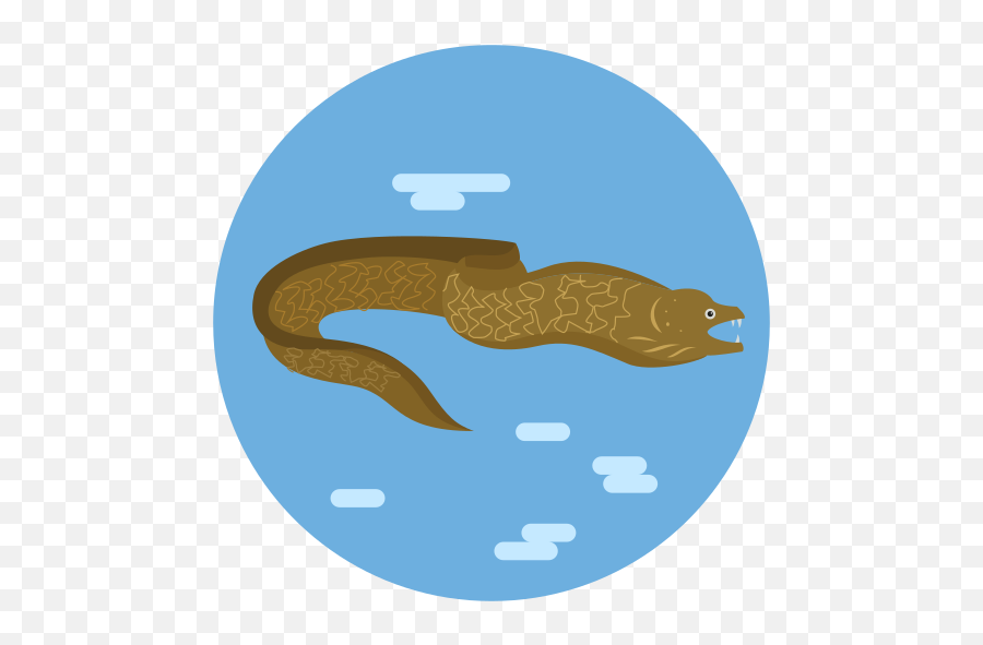 Sea Animal Eel Fish Eels Free Icon - Fontana Del Nettuno Png,Sea Serpent Icon