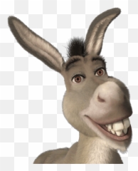 Shrek - Donkey Shrek Eddie Murphy Png,Shrek Head Png
