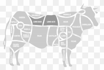 Vaca - Carne De Ternera Llana Png,Vaca Png