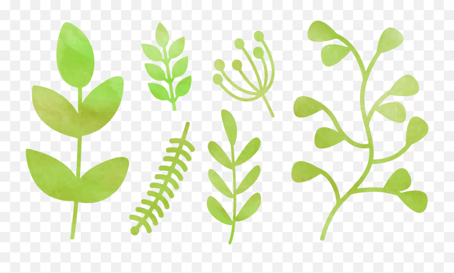 Watercolor Greenery Png Picture - Greenery Drawing,Watercolor Greenery Png
