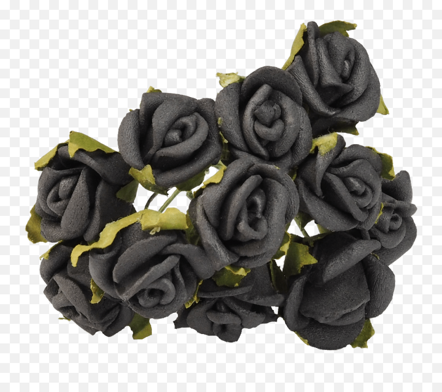 Download Black Rose Roses Flower - Black Rose Png,Black Rose Png