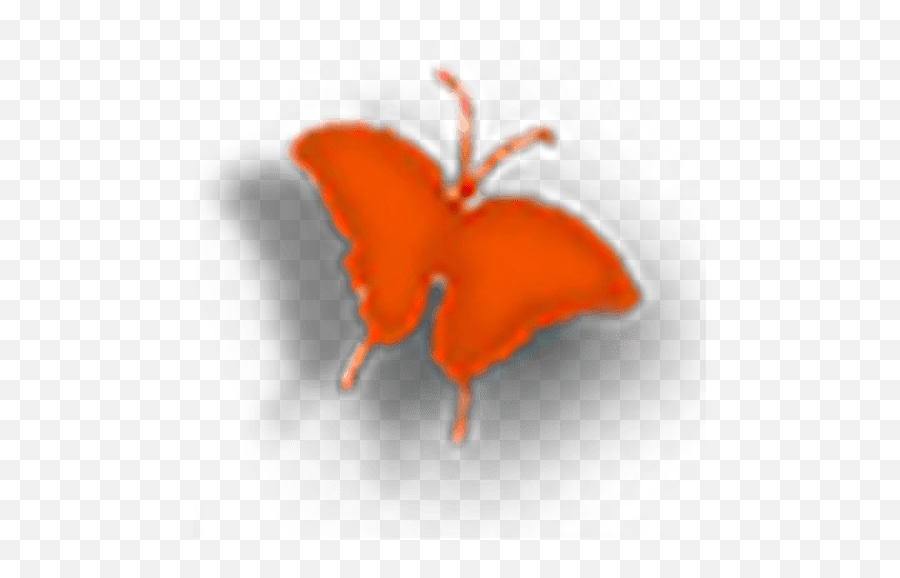 Empowher Of The Palm Beaches - Butterfly Png,Icon Accelerant