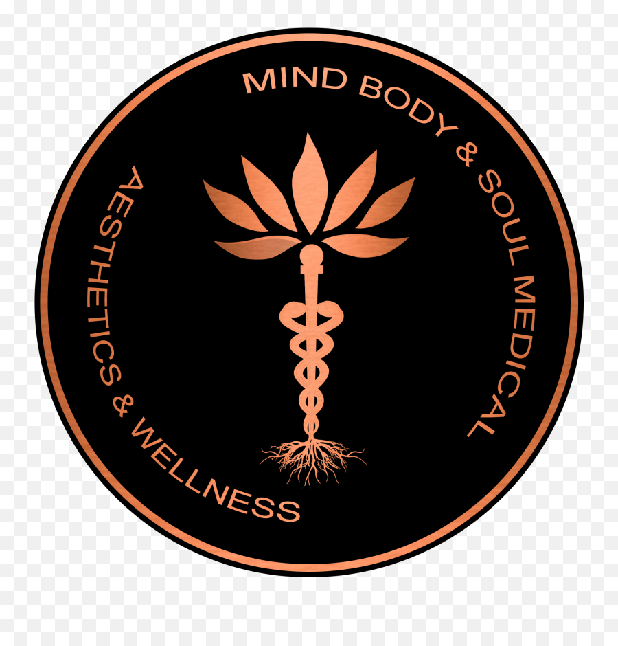 Wellness And Medical Care Mind Body Soul - Language Png,Mind Body Icon