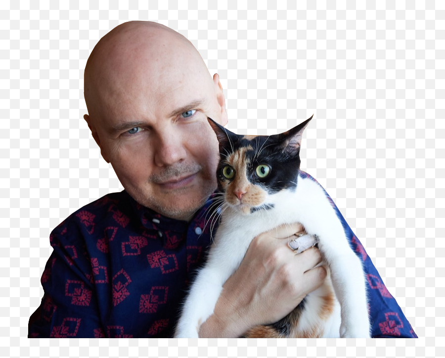 Our Design Holiday Dinner Guests - Sra Interior Design Billy Corgan 2021 Cameo Twitter Png,Fashion Icon Iris