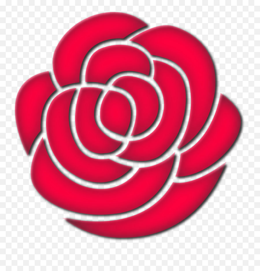 Social Democracy Network - Ground Rose Png,Icon Dkr