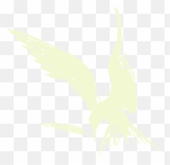 Tern Tap U0026 Tavern - Automotive Decal png