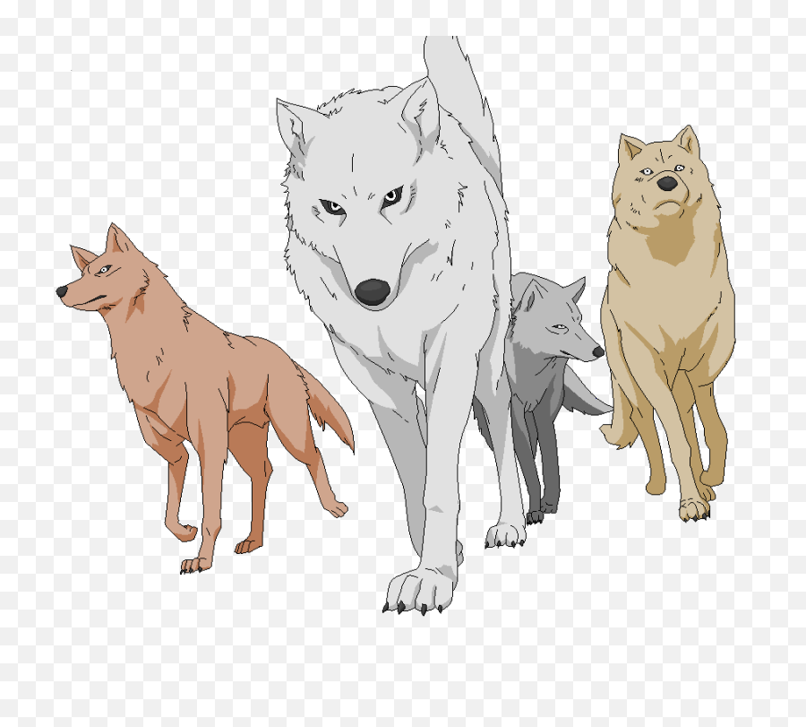 Download Hd Wolf Pack Png Picture - Wolfsrain Wolves Wolf Pack Transparent Background,Wolves Png