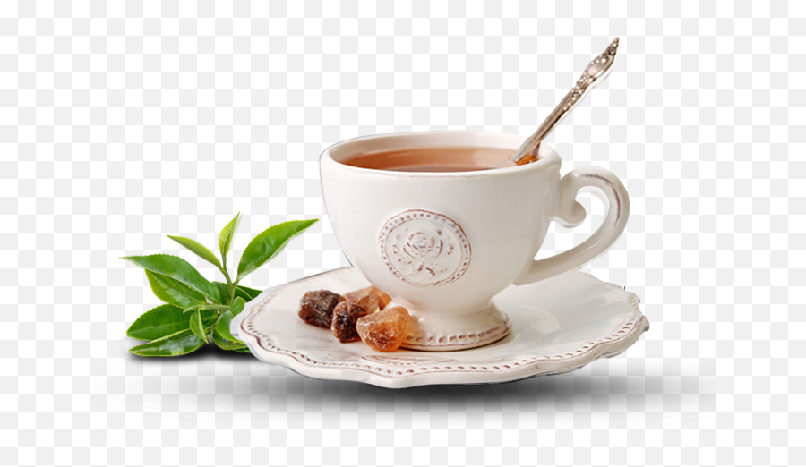 Green Tea Cup Transparent Image - Tea Cup Images Hd Download Png,Tea Cup Transparent