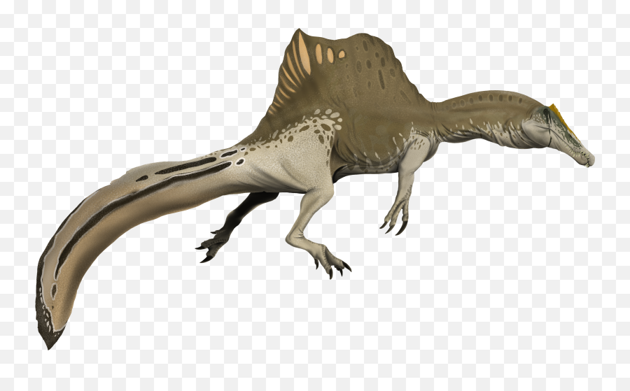 Spinosaurus Aegyptiacus - Spinosaurus Aegyptiacus Png,Spinosaurus Png