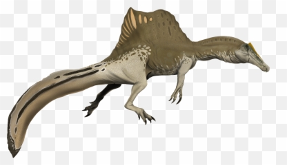 Spinosaurus Aegyptiacus - Spinosaurus Aegyptiacus Png,Spinosaurus Png
