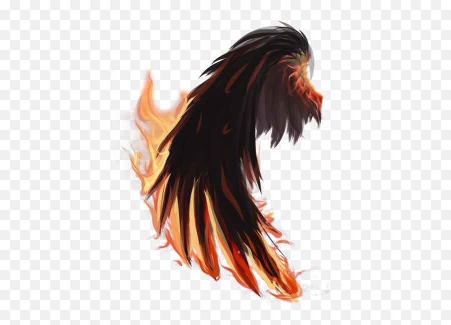 Fire Wings Firewings Tumblr Sticker - Fire Wings Transparent Png,Fire Wings Png